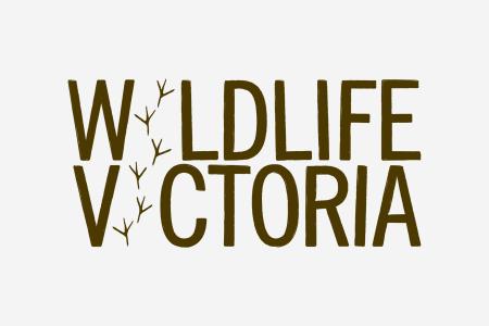 wildvic